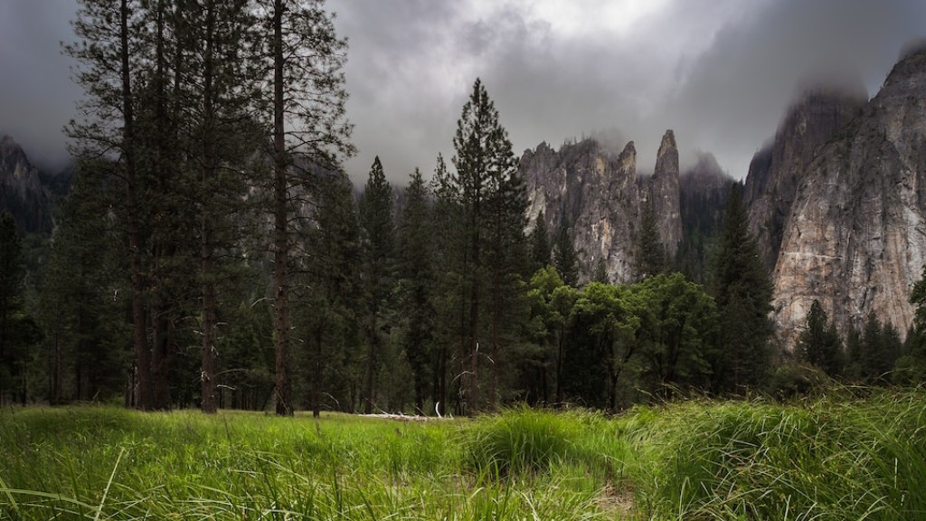 Hvilke aktiviteter kan du gjøre i Yosemite nasjonalpark